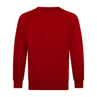 Woodfall Primary V-Neck Sweatshirt
